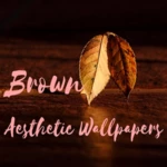 brown aesthetic wallpaper android application logo